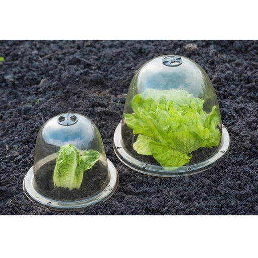 FOUDEBASSIN.COM Cloches avec ventilation - H20 x Ø25,5 cm - 3 x 8711338202807 6020280