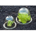FOUDEBASSIN.COM Cloches avec ventilation - H20 x Ø25,5 cm - 3 x 8711338202807 6020280