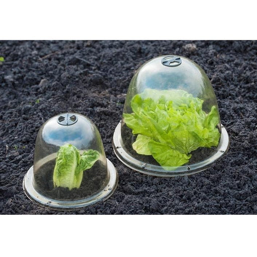 FOUDEBASSIN.COM Cloches avec ventilation - H30,5 x Ø33,5 cm - 3 x 8711338202814 6020281