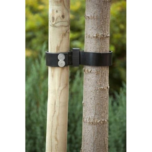 FOUDEBASSIN.COM Collier de tuteurage à clouter, caoutchouc  - 60 x 3,8 cm - 2 x 8711338404034 6040403