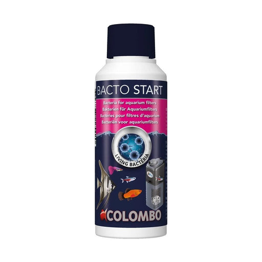 FOUDEBASSIN.COM COLOMBO BACTO START 250 ML 8715897225420 A5010907