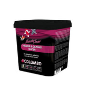 FOUDEBASSIN.COM COLOMBO BACTOCLEAR 5000 ML/100.000 L NL+F 8715897344695 05020570