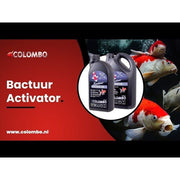 FOUDEBASSIN.COM COLOMBO BACTURE ACTIVATOR 1000 ML 8715897043772 05020282