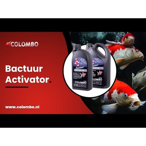 FOUDEBASSIN.COM COLOMBO BACTURE ACTIVATOR 1000 ML 8715897043772 05020282