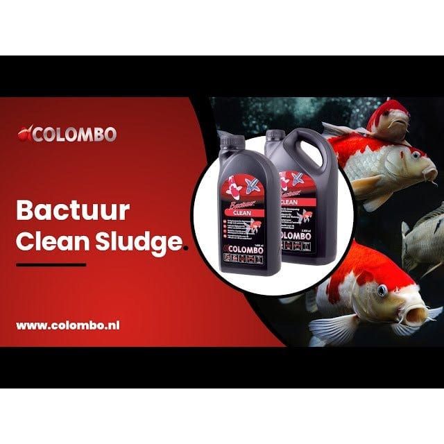 FOUDEBASSIN.COM COLOMBO BACTURE CLEAN 1000 ML 8715897025990 05020242