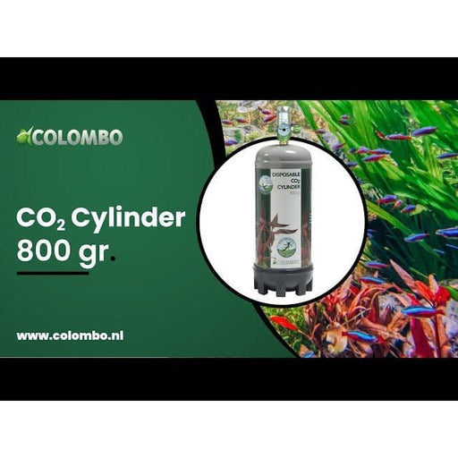 FOUDEBASSIN.COM COLOMBO CO2 CYLINDER 800 GRAM 	8715897244193 A5010195