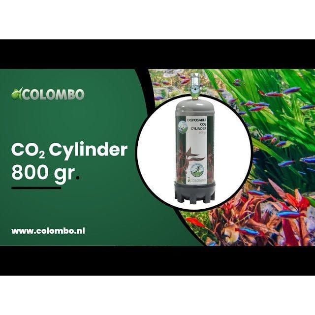 FOUDEBASSIN.COM COLOMBO CO2 CYLINDER 800 GRAM 	8715897244193 A5010195