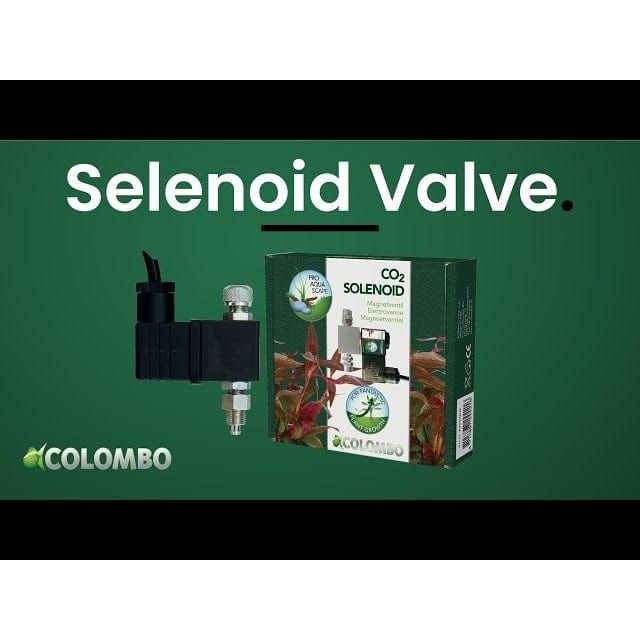 FOUDEBASSIN.COM COLOMBO CO2 SOLENOID VALVE 8715897244216 A5010205