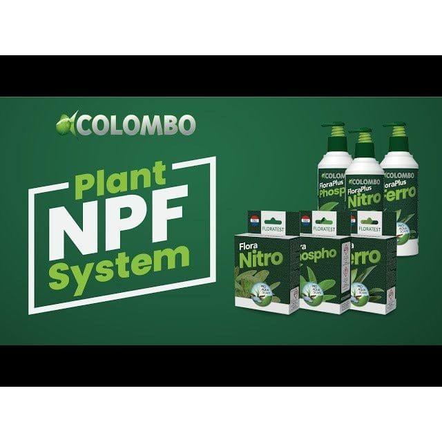 FOUDEBASSIN.COM COLOMBO FLORA PHOSPHO TEST 	8715897342608 A5010505