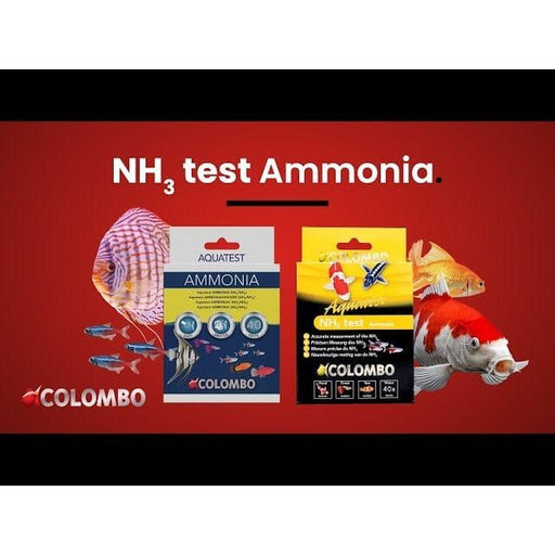FOUDEBASSIN.COM COLOMBO NH3 TEST 8715897030970 05020291