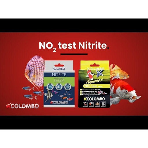 FOUDEBASSIN.COM COLOMBO NO2 TEST 8715897030956 05020287