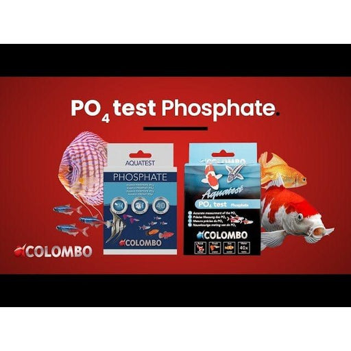FOUDEBASSIN.COM COLOMBO PO4 TEST 8715897189760 05020298