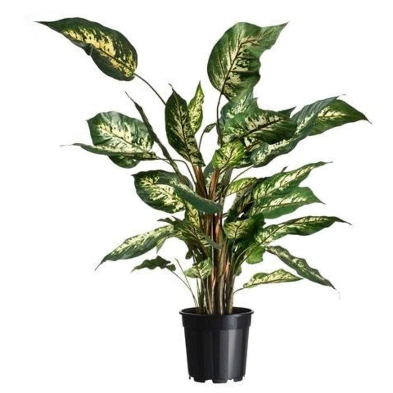 FOUDEBASSIN.COM Conteneur fond 4 branches  - 10l - H23,4 x Ø27 cm 8711338702147 6070214