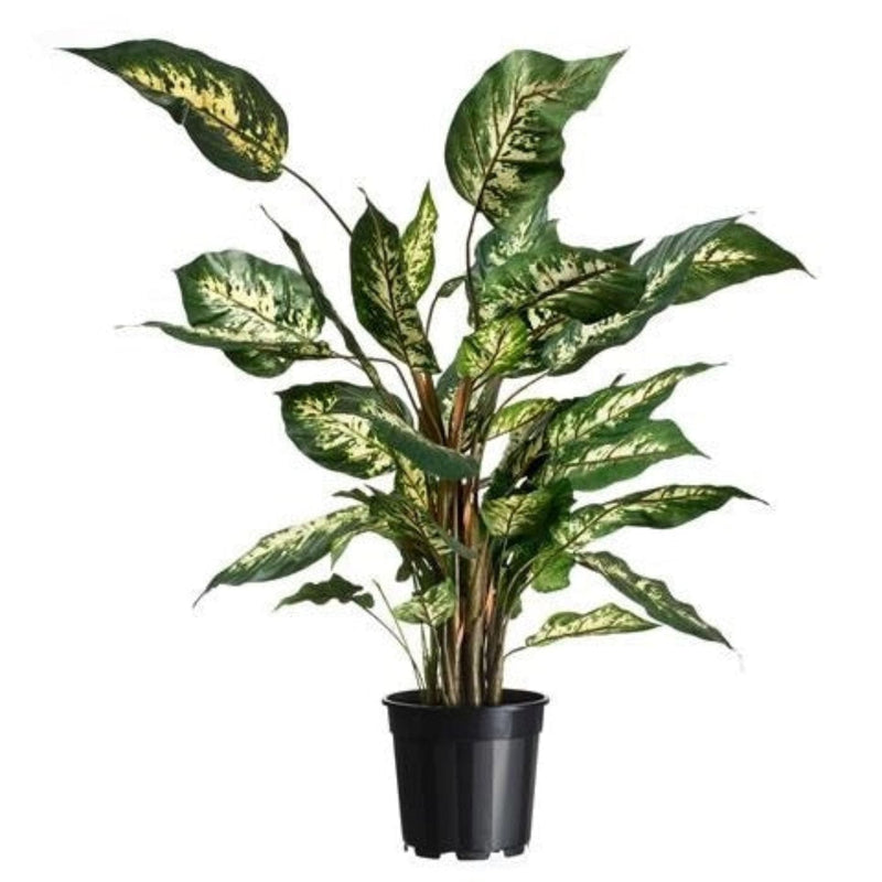 FOUDEBASSIN.COM Conteneur fond 4 branches  - 3,1l - H17,1 x Ø19 cm - 3 x 8711338702116 6070211