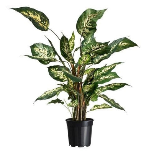 FOUDEBASSIN.COM Conteneur fond 4 branches  - 3,1l - H17,1 x Ø19 cm - 3 x 8711338702116 6070211