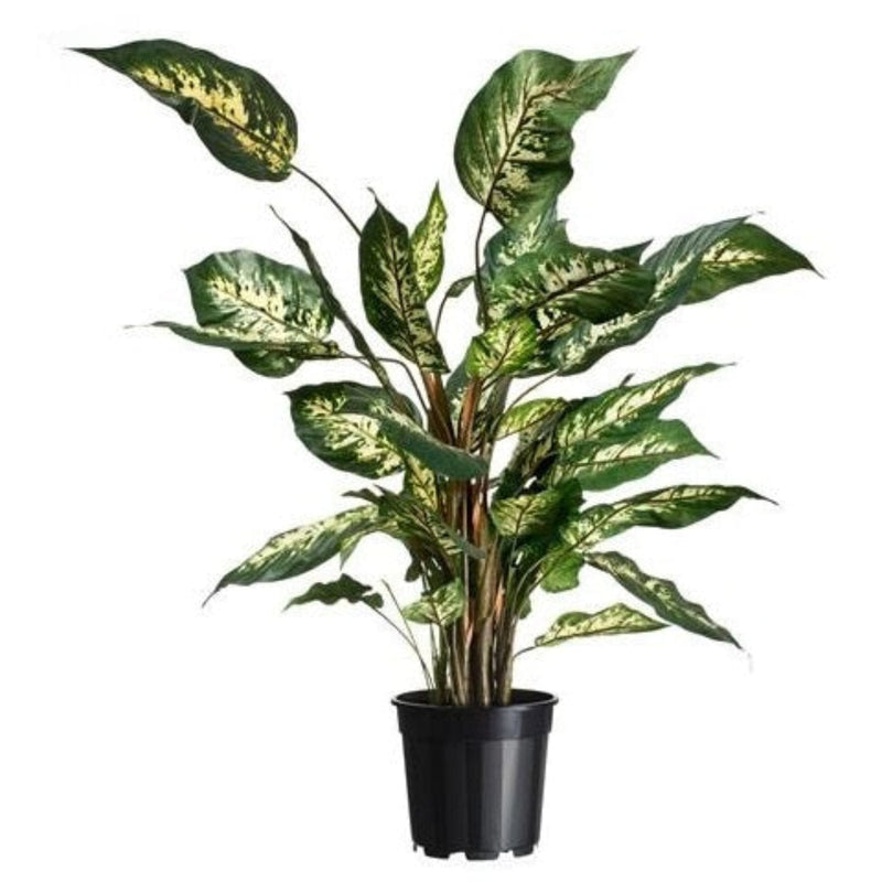 FOUDEBASSIN.COM Conteneur fond 4 branches  - 4,5l - H18,9 x Ø21 cm - 2 x 8711338702123 6070212