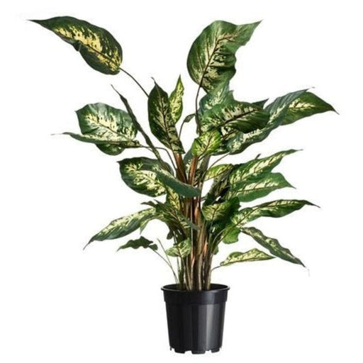 FOUDEBASSIN.COM Conteneur fond 4 branches  - 4,5l - H18,9 x Ø21 cm - 2 x 8711338702123 6070212