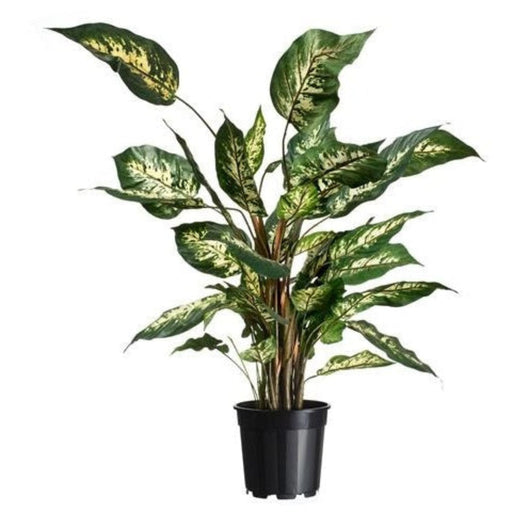 FOUDEBASSIN.COM Conteneur fond 4 branches  - 6,3l - H21,5 x Ø24 cm 8711338702130 6070213
