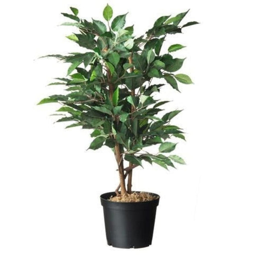 FOUDEBASSIN.COM Conteneur fond plat avec trous de drainage - 3l - H15 x Ø19 cm - 4 x 8711338702031 6070203