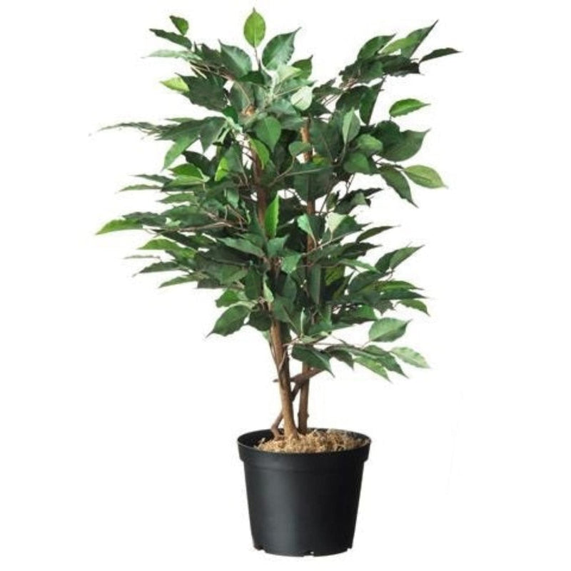 FOUDEBASSIN.COM Conteneur fond plat avec trous de drainage - 4l - H17 x Ø21 cm - 3 x 8711338702048 6070204