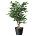 FOUDEBASSIN.COM Conteneur fond plat avec trous de drainage - 4l - H17 x Ø21 cm - 3 x 8711338702048 6070204