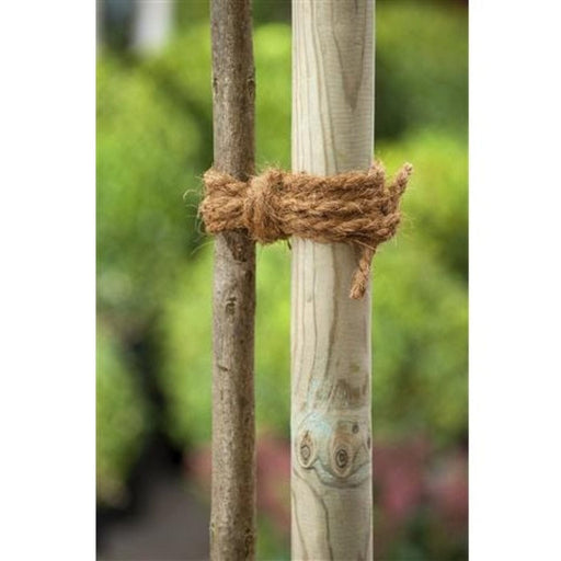 FOUDEBASSIN.COM Corde en fibre de coco - 15 m 8711338405123 6040512