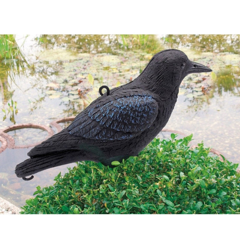FOUDEBASSIN.COM Corneille - H27 cm 8711465825238 1382523