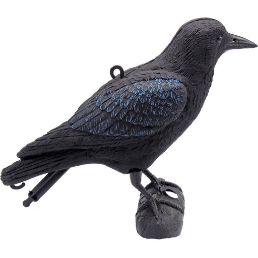 FOUDEBASSIN.COM Corneille - H27 cm 8711465825238 1382523