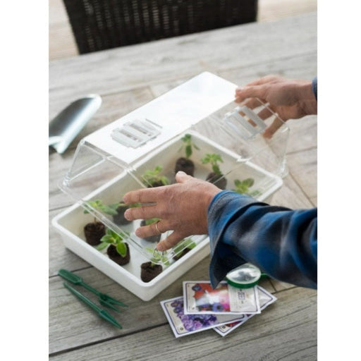 FOUDEBASSIN.COM Couvercle transparant avec ventilation - H12 x 37,5 x 24 cm 8711338202258 6020225
