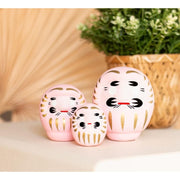 FOUDEBASSIN.COM Daruma Rose - Moyen, Affection 8435131217874 KP40