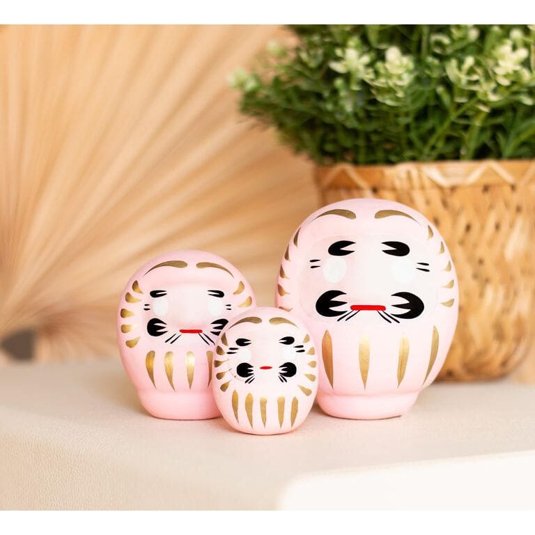 FOUDEBASSIN.COM Daruma Rose - Moyen, Affection 8435131217874 KP40