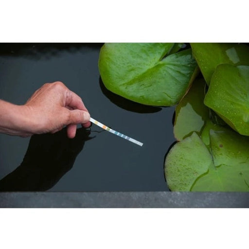 FOUDEBASSIN.COM Display Aqua MultiTest - 50 bandelettes à 6 mesures de tests (PH,GH,KH,NO2,NO3,CI2) - 12 x 8711465730259 1373025