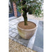 FOUDEBASSIN.COM Disque de plantation en coco - épaisseur +/- 0,5/1 cm, 750 g/m² - Ø30 cm - 3 x 8711338301449 6030144