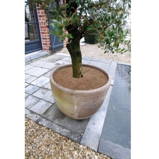 FOUDEBASSIN.COM Disque de plantation en coco - épaisseur +/- 0,5/1 cm, 750 g/m² - Ø60 cm - 3 x 8711338301432 6030143