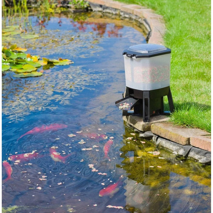 FOUDEBASSIN.COM Distributeur automatique de nourriture pour poissons - énergie solaire (batterie 2200 mAh), réservoir 6 l, taille aliments 3-10 mm, intervalle d'alimentation : 1 à 6 ration(s)/jour avec réglage jusqu'à 20 sec., distribution nourriture horizontale à 120? a 8711465561006 1356100