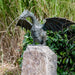 FOUDEBASSIN.COM Drachenvogel Farina 5459119000 90171