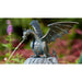 FOUDEBASSIN.COM Drachenvogel Terrador klein, wsp. 542011900 90169