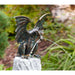 FOUDEBASSIN.COM Drachenvogel Terrador wsp., 53 cm hoch 170039900 90166