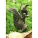 FOUDEBASSIN.COM Eichhörnchen 25 cm hoch 730016900 88475