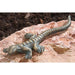 FOUDEBASSIN.COM Eidechse 16 cm lang 150002170 90321