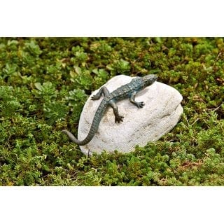 FOUDEBASSIN.COM Eidechse gebogen 17 cm lang 150002590 88108