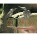 FOUDEBASSIN.COM Eisvogel 15 cm hoch 850006500 88321