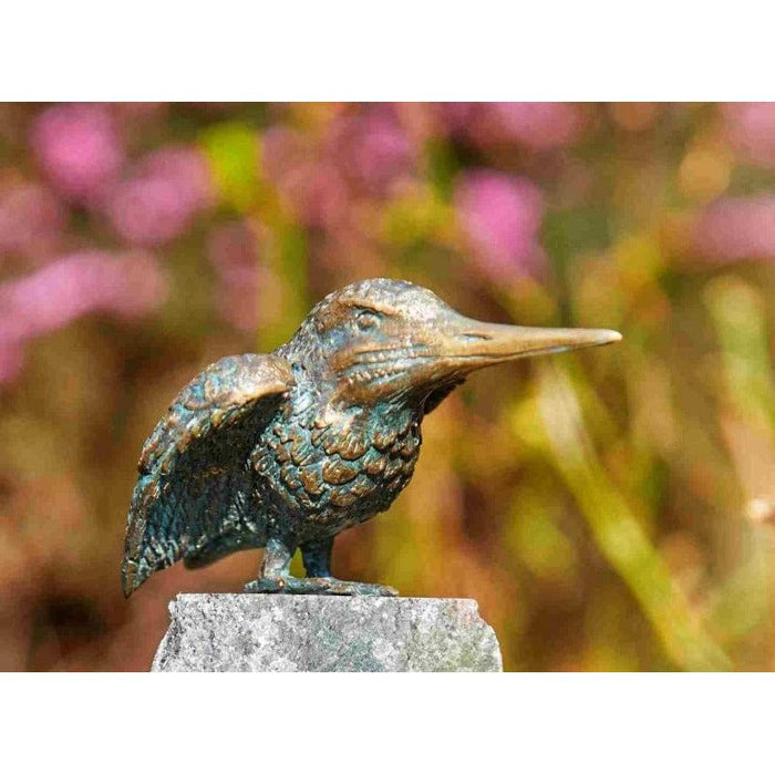 FOUDEBASSIN.COM Eisvogel Flügel offen 780002990 89004