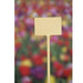 FOUDEBASSIN.COM Etiquettes en T à planter en PVC - 34 cm - 5 x 8711338203224 6020322