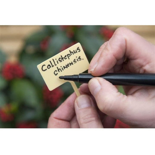 FOUDEBASSIN.COM Etiquettes en T à planter en PVC + feutre indélébile - 13 cm - 10 x 8711338203149 6020314