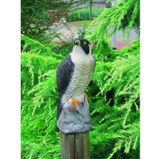 FOUDEBASSIN.COM Faucon - H40 cm 8711465825221 1382522