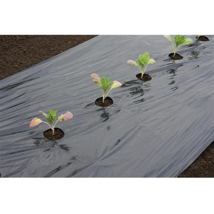 FOUDEBASSIN.COM Film de paillage GROS LEGUMES - LDPE/LLDPE noir, 20µ, trous découpés : 30xØ60 mm - 0,95 x 10 m 8711338302781 6030278
