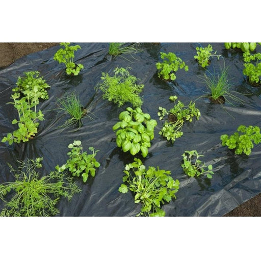 FOUDEBASSIN.COM Film de paillage HERBES AROMATIQUES - LDPE/LLDPE noir, 20µ, trous découpés : 100xØ60 mm - 0,95 x 5 m 8711338302682 6030268