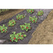 FOUDEBASSIN.COM Film de paillage micro-perforé spécial fraises - LDPE noir, 50µ - 1,40 x 10 m 8711338302248 6030224
