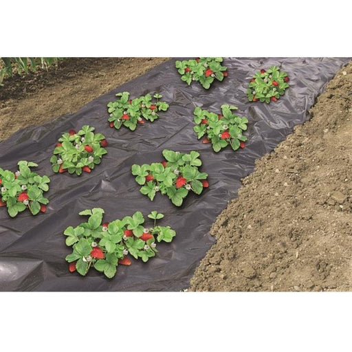 FOUDEBASSIN.COM Film de paillage micro-perforé spécial fraises - LDPE noir, 50µ - 1,40 x 20 m 8711338302316 6030231